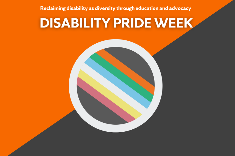 disability pride flag SU logo