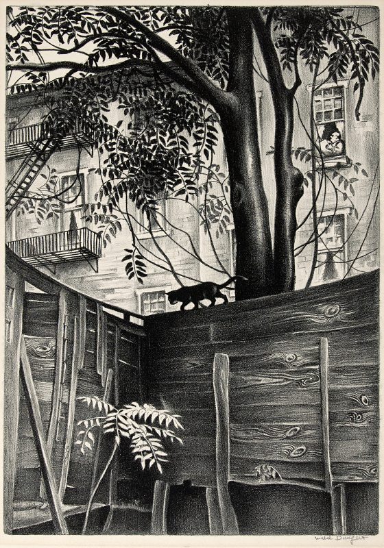 Black and white lithograph print of a urban backyard scene with a wooden fence and a black cat walking on the top edge, in the background are tall trees and houses.