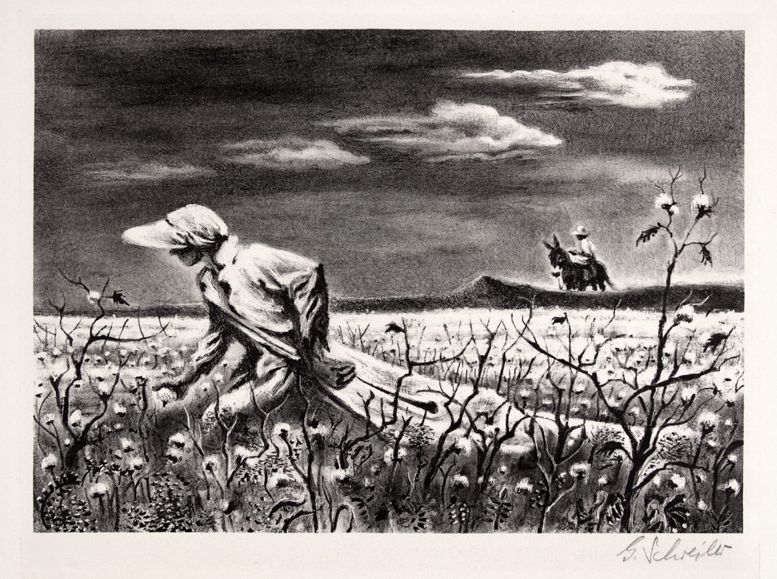 Rural landscape with a cotton field and a woman wearing a bonnet in the foreground picking cotton