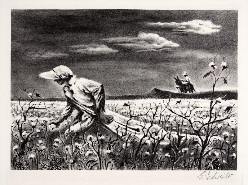 Rural landscape with a cotton field and a woman wearing a bonnet in the foreground picking cotton