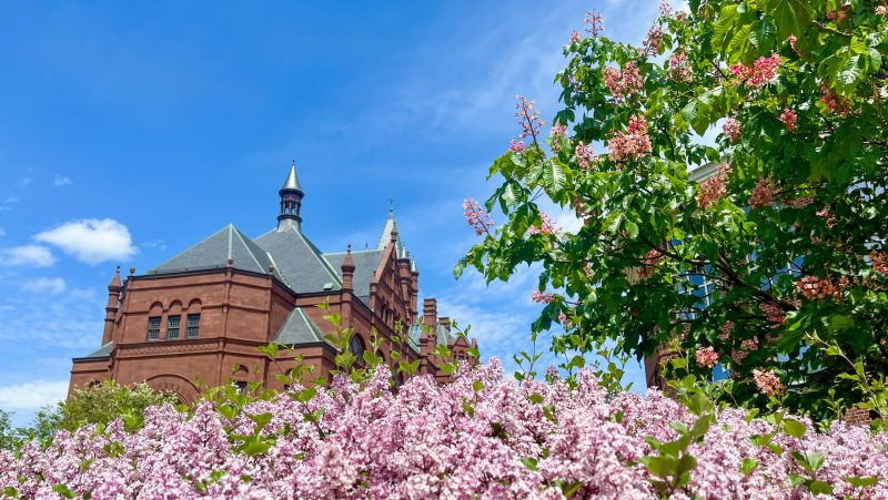 Crouse College behind pink flowers