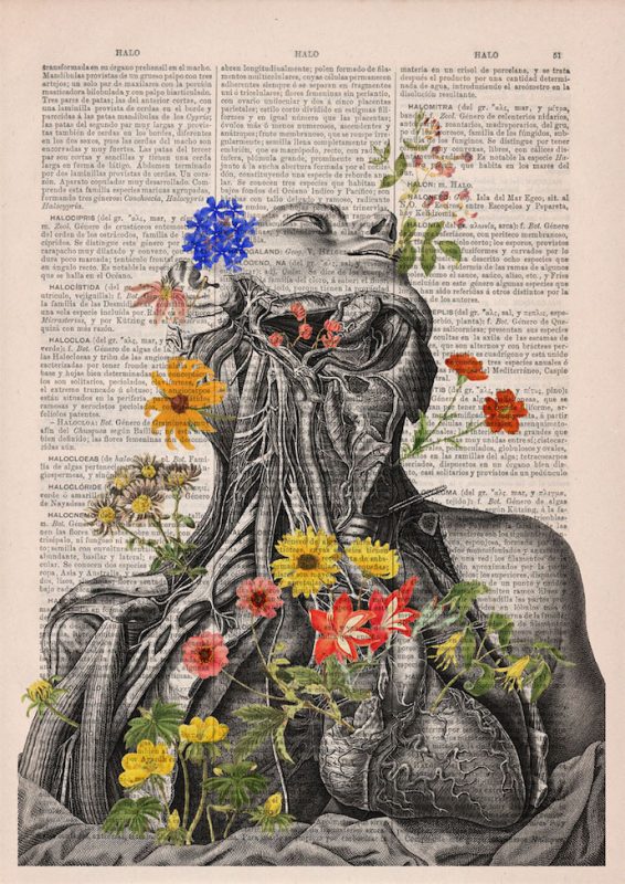 illustration of human body with flowers growing out of it in color, imposed atop book text