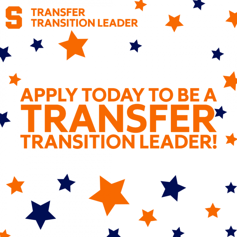 Apply to be a Transfer Transition Leader surrounded by stars