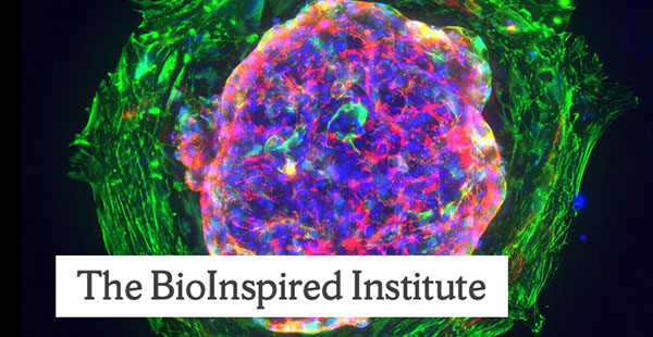 The BioInspired Institute label in front of a microscope image of a cell