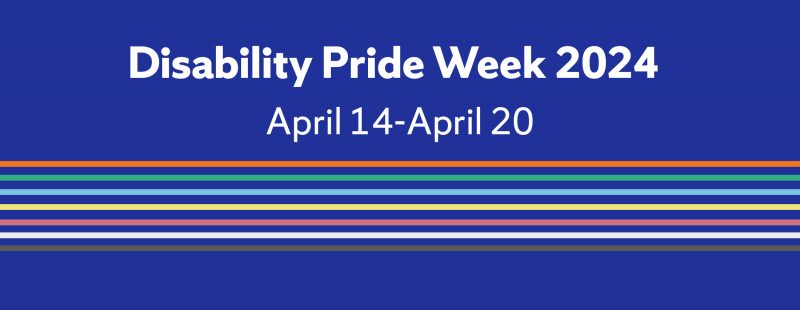 SU disability pride week flag