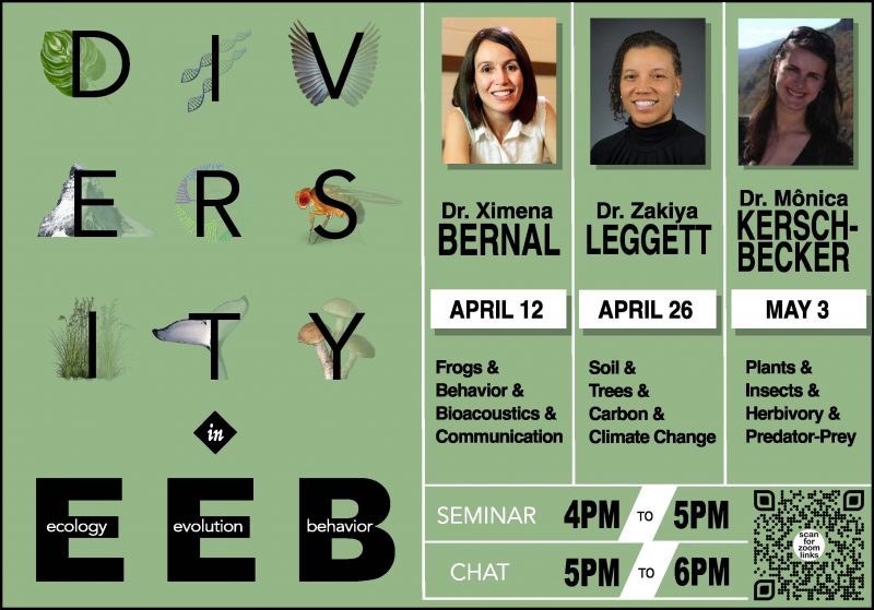 A poster set on a sage green background with the word DIVERSITY in Ecology, Evolution and Behavior overlaid with various nature illustrations. On the right side of the poster, three close-up color photos of three of the series' speakers: Dr. Ximena Bernal on April 12th, Dr. Zakiya Leggett on April 26th, and Dr. Mônica Kersch-Becker on May 3rd. 