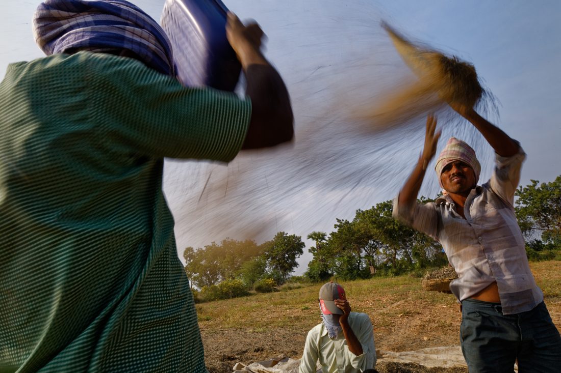 three figures standing in a field. holding agricultural bags over their heads with seed flying out