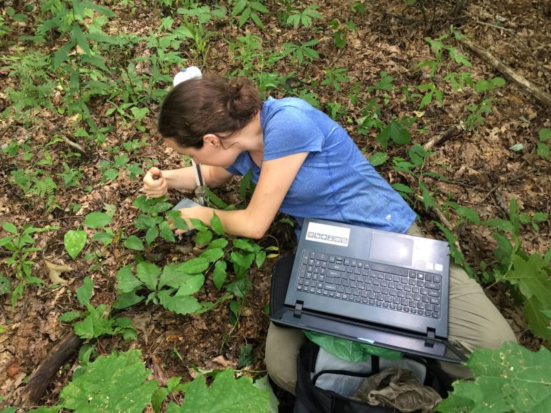 Color photo of a Jordan Stark conducting field work in a wooded setting. 