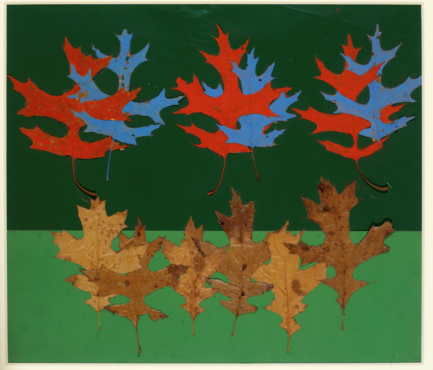 Art Josef Albers Inspired Leaf Creatures