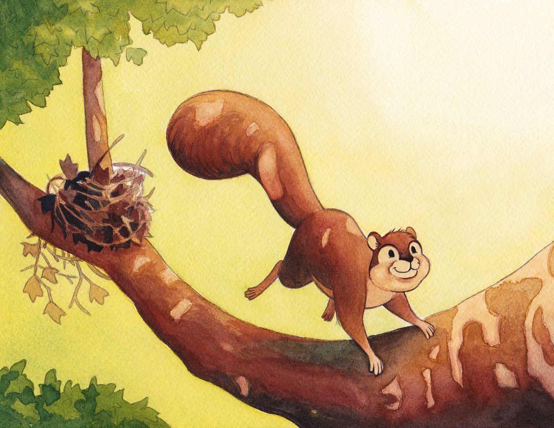 illustration of squirrel running across branch with nest behind