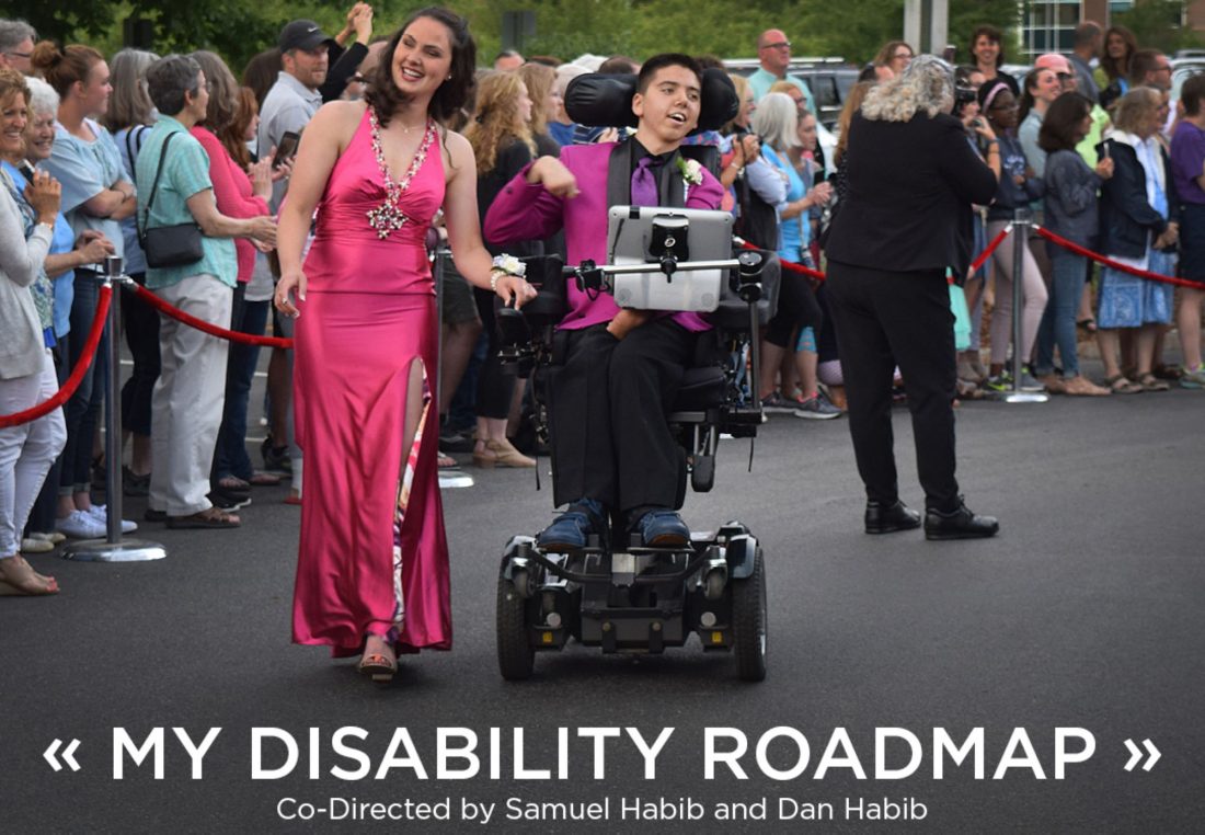 poster for my disability roadmap. image features samuel habib in a wheelchair attending prom with a girl in a pink dress. 