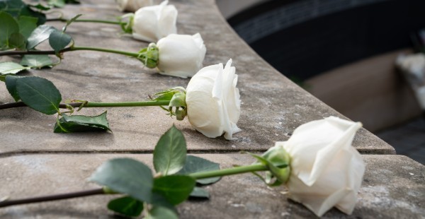 White roses laying on the Place of Remembrance