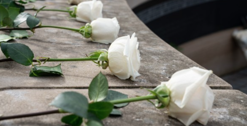 White roses line a cement wall in honor of those whose lives were lost.