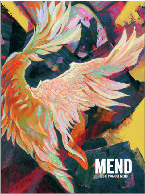 The cover photo of Mend's new publication.