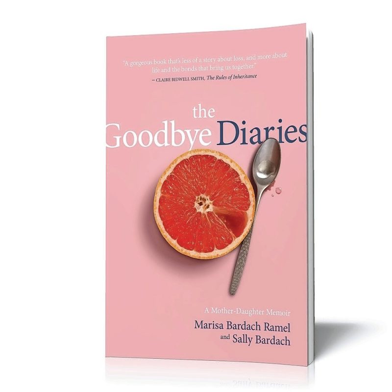 The Goodbye Diaries Book Cover 