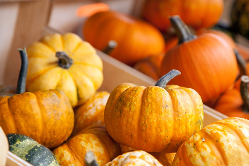 Little pumpkins sitting in a crate