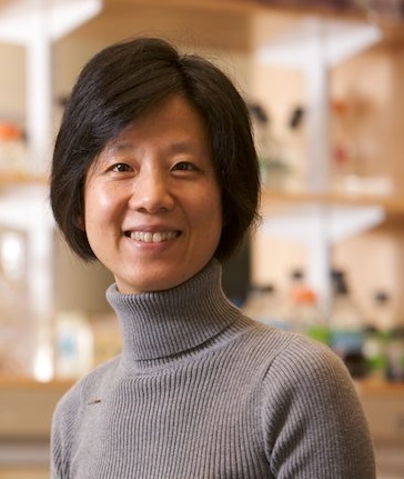 A color close-up photo of Dr. Yingxi Lin smiling for the camera