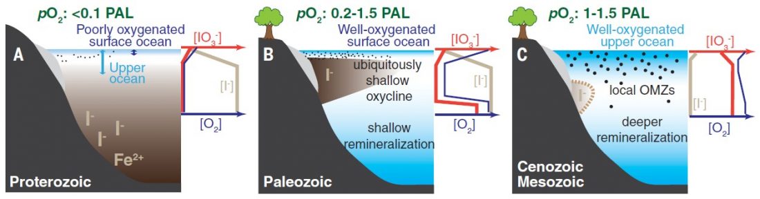 Diagram of Long-term co-evolution of life and oxygen level 