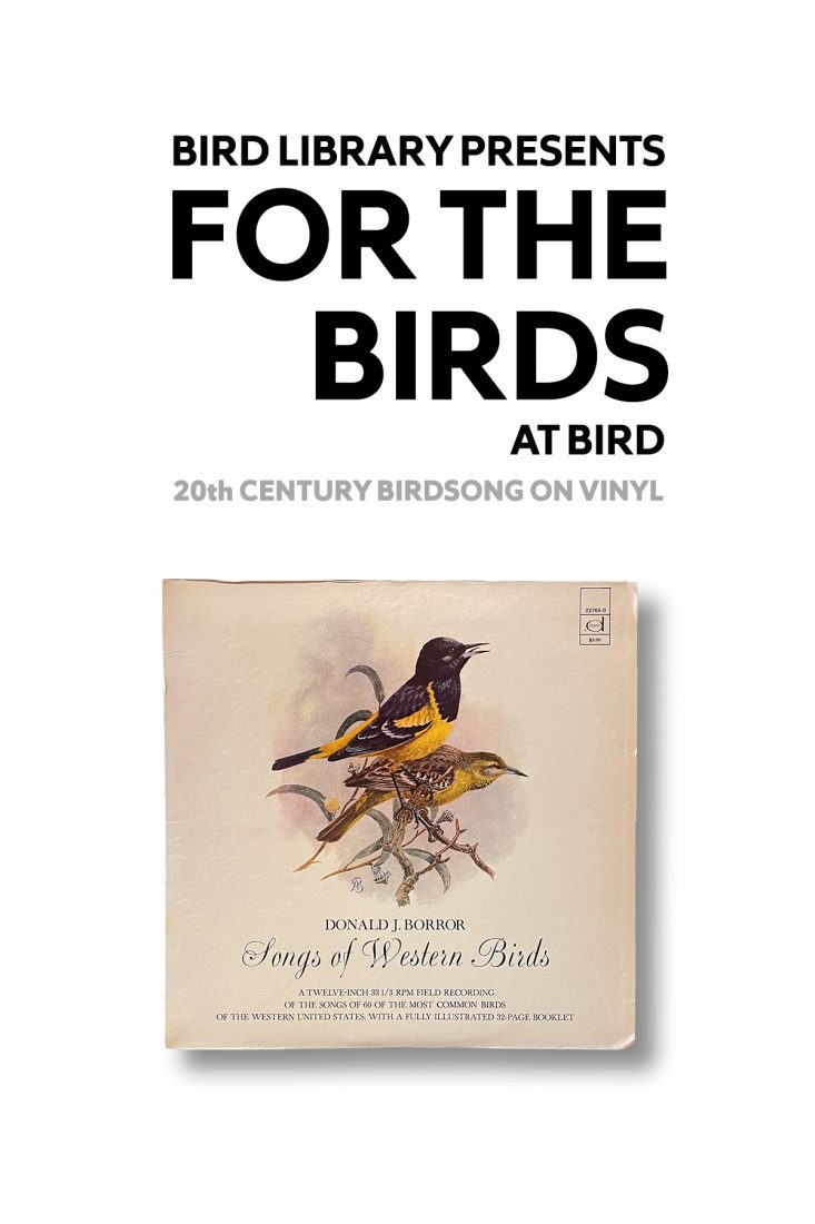 title of exhibit at top with album cover featuring two birds