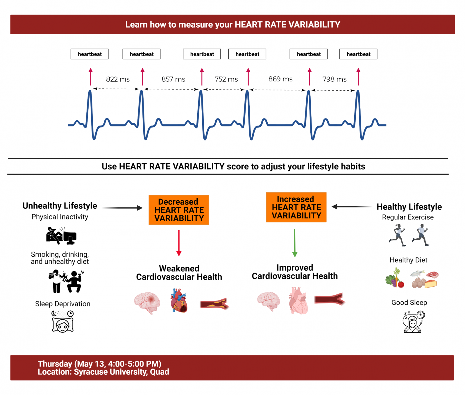 What Does A High Heart Rate Variability Indicate