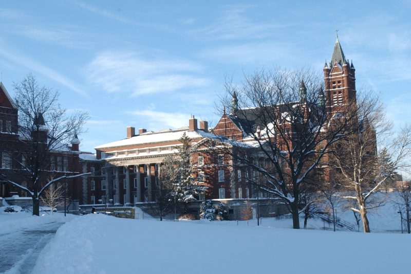 Crouse in winter, day.