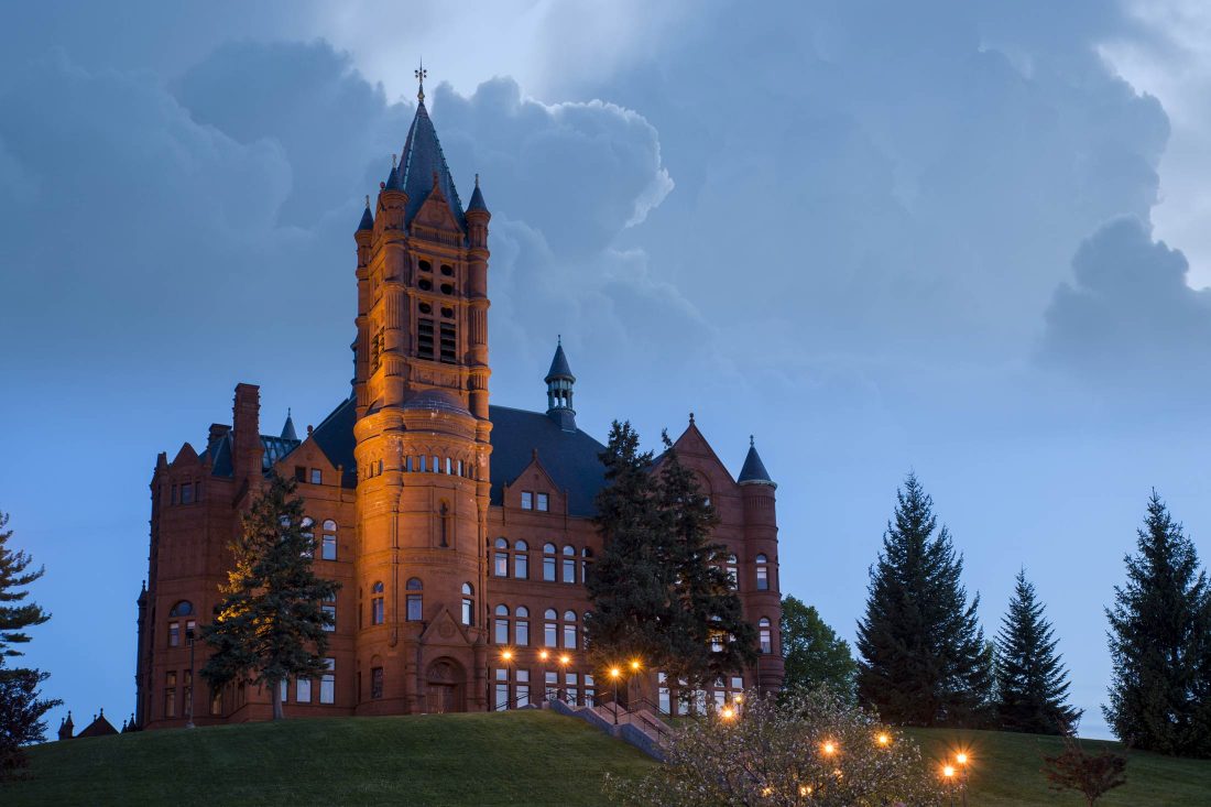 Crouse in spring at dusk.