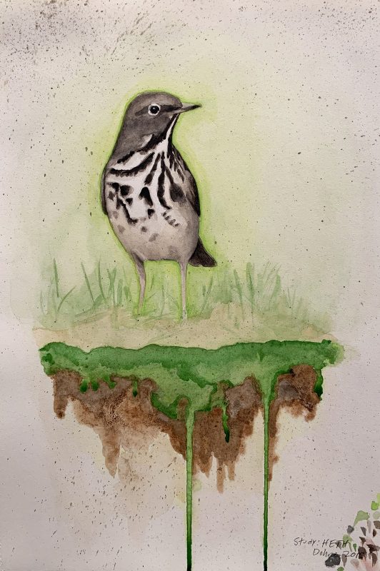 sketch of a shore bird