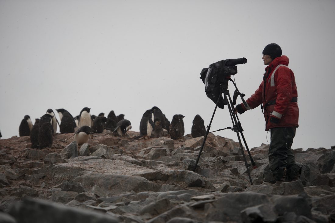 Filmmaker Dean Sediel shoot penguin colony for the film Artic Edge