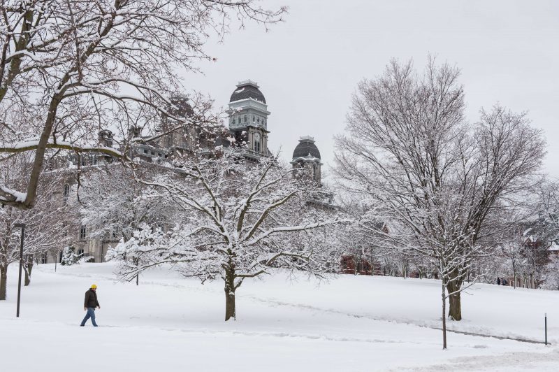 Hall of Languages in the snow
