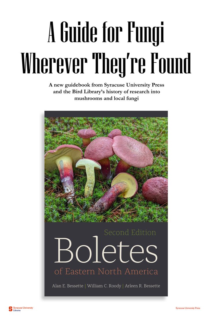 book cover of Boletes with title of display 